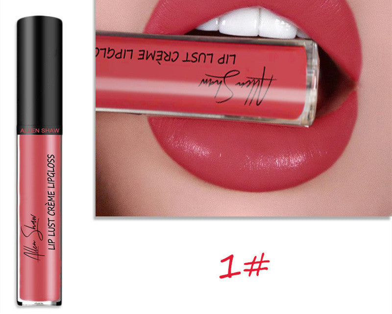 Seidige Creme Textur Lip Gloss Aliexpress Shopee Kreuz-Grenze Exklusive Lippe Glasur Lip Gloss Lippenstift