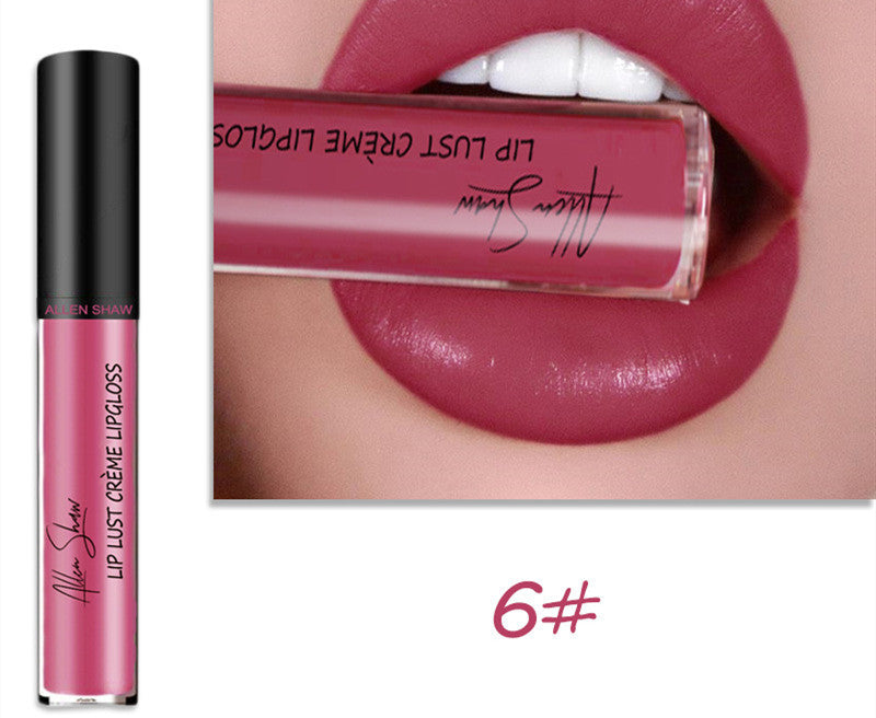 Seidige Creme Textur Lip Gloss Aliexpress Shopee Kreuz-Grenze Exklusive Lippe Glasur Lip Gloss Lippenstift