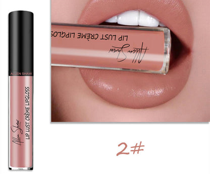 Seidige Creme Textur Lip Gloss Aliexpress Shopee Kreuz-Grenze Exklusive Lippe Glasur Lip Gloss Lippenstift